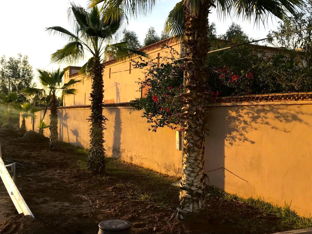 Palais Souad Βίλα Μαρακές Εξωτερικό φωτογραφία